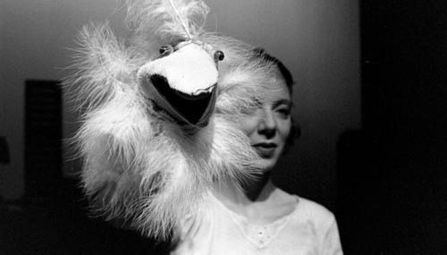 Icarus 2003 — foto